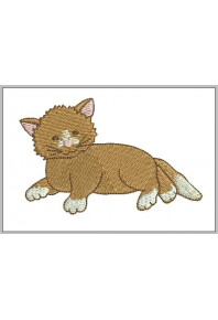 Pet043 - Brown cat